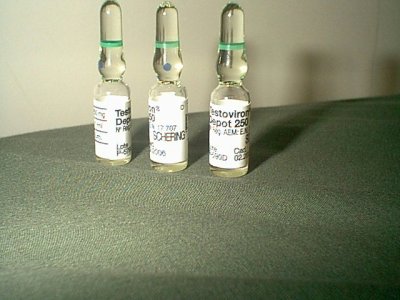 Real pictures and images of Testoviron